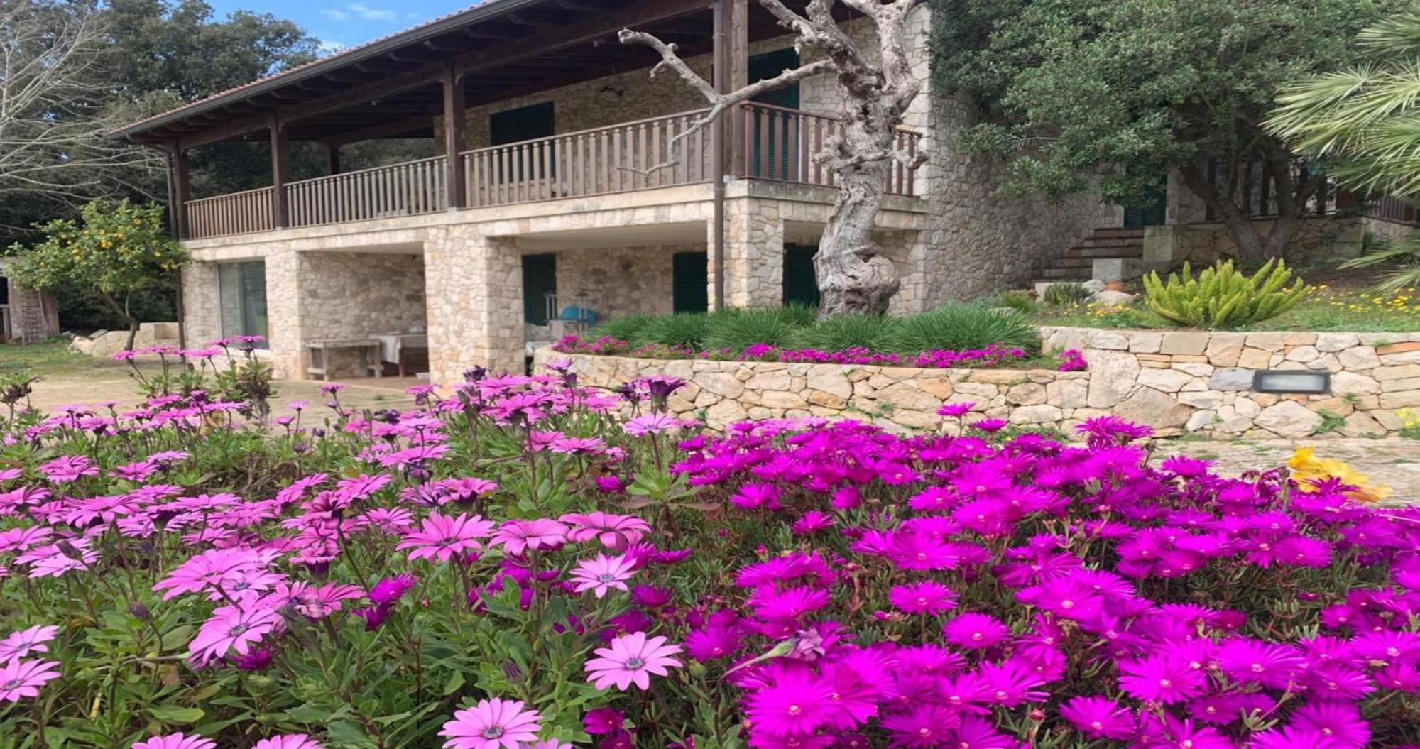 Guest house Odegos Maliconca